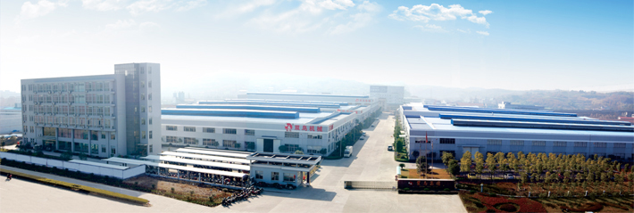 浙江雙鳥集團全景圖